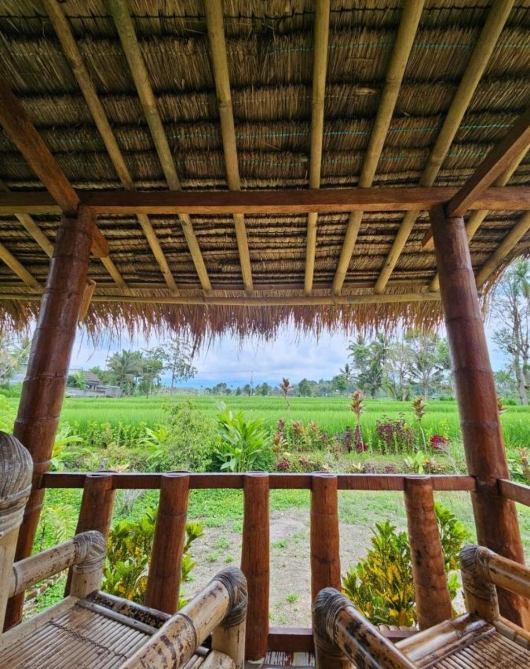 New Rinjani Homestay Tetebatu Exterior foto