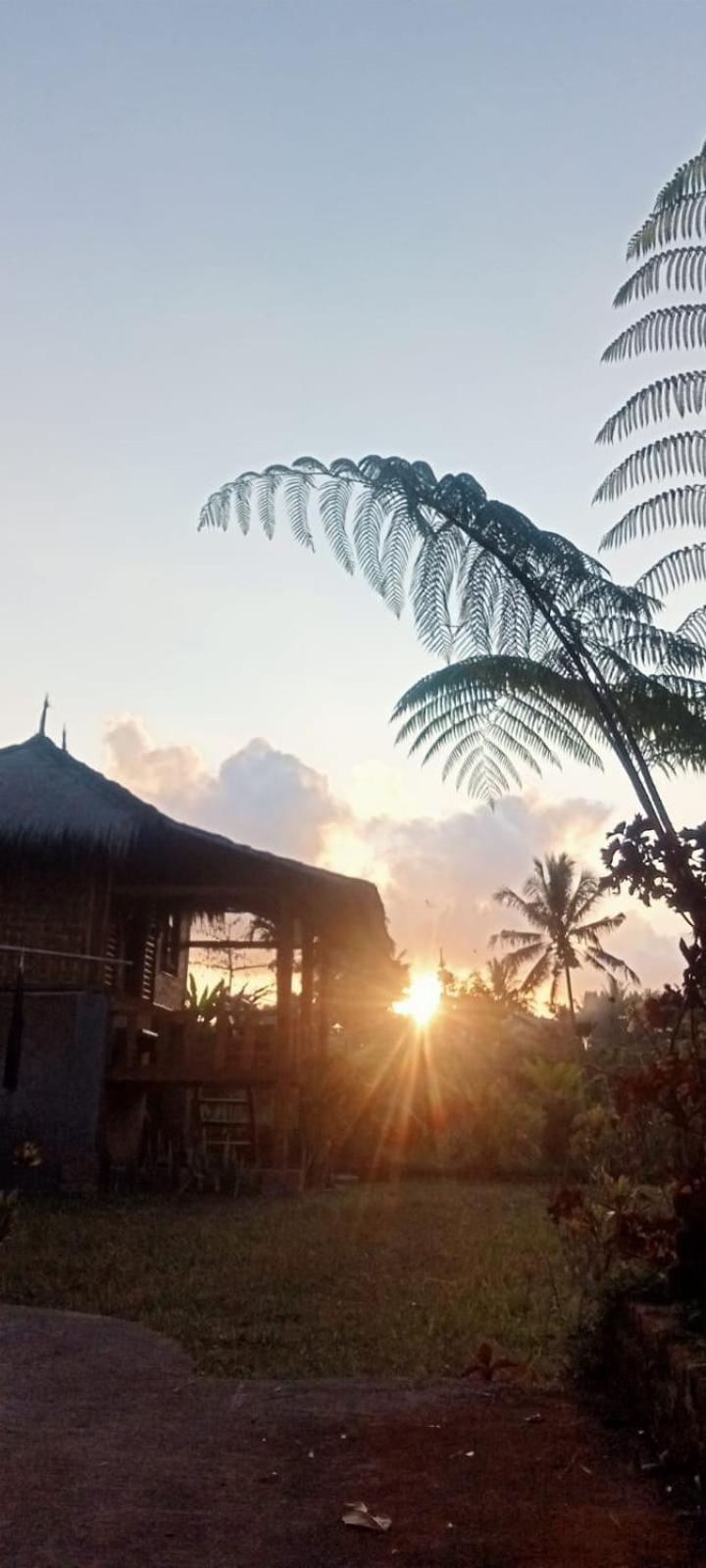 New Rinjani Homestay Tetebatu Habitación foto