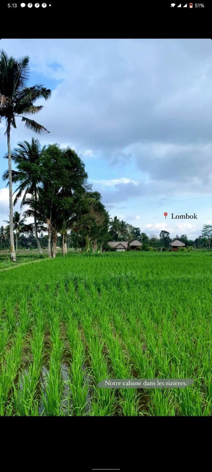 New Rinjani Homestay Tetebatu Habitación foto