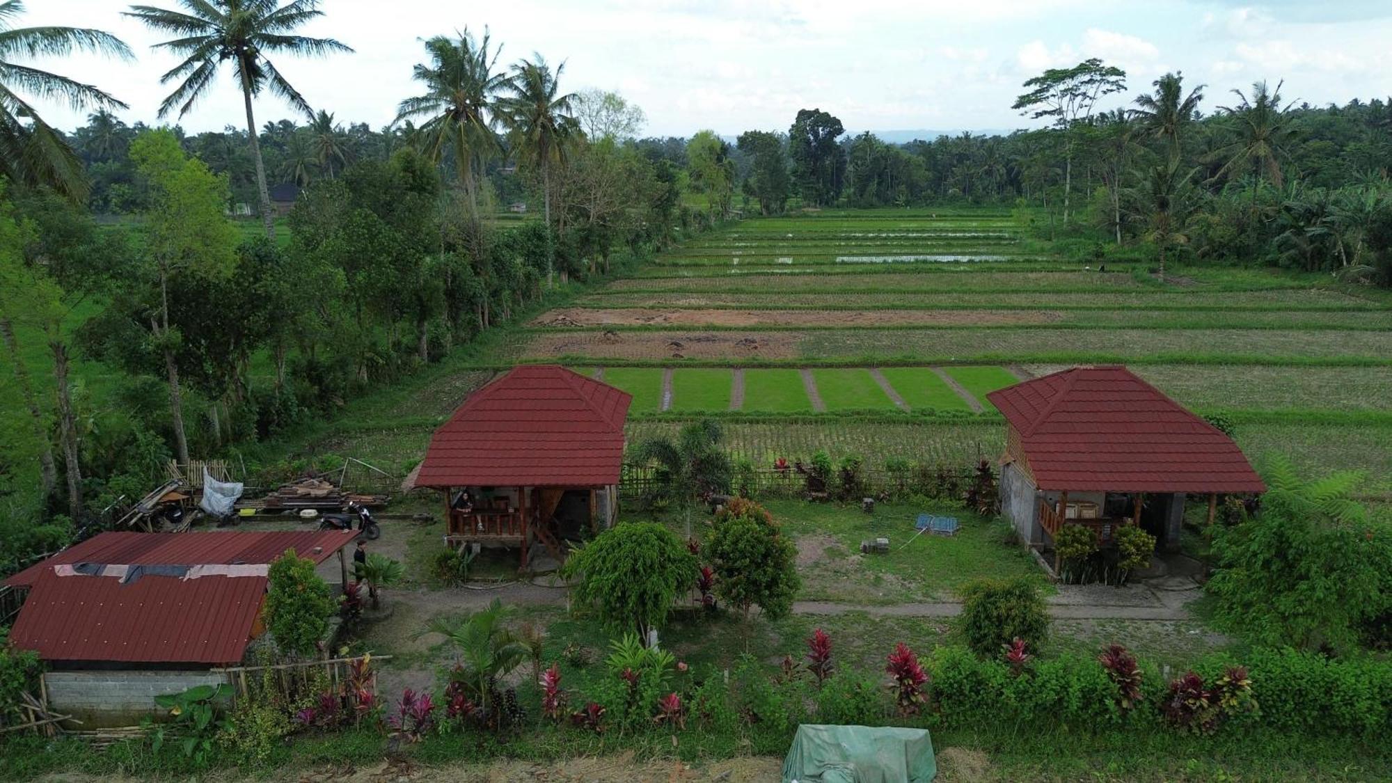 New Rinjani Homestay Tetebatu Exterior foto