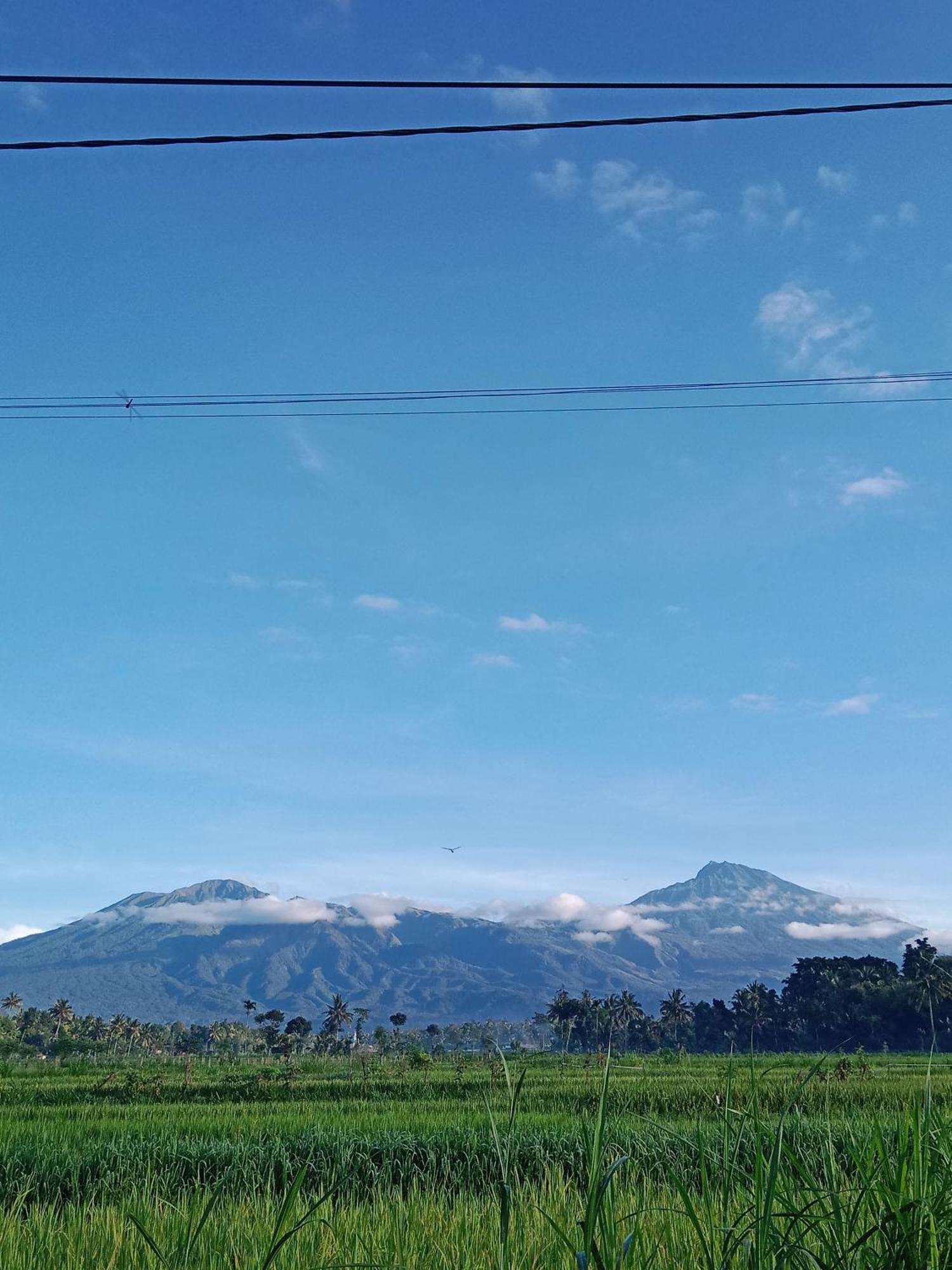 New Rinjani Homestay Tetebatu Exterior foto